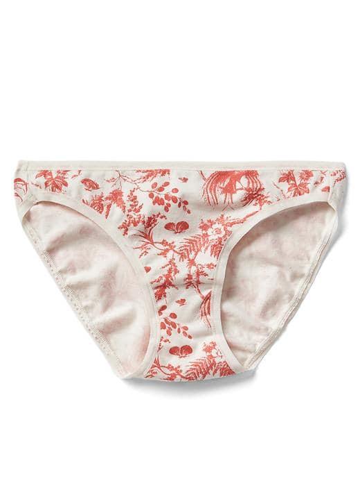 Gap Women Stretch Cotton Low Rise Bikini - Toile De Jouy Snow Cap
