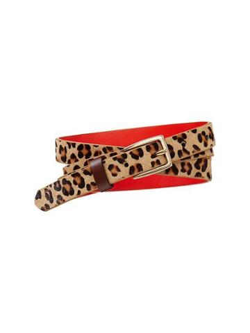 Gap Printed Calf Hair Belt - Leopard