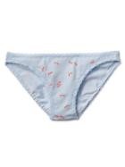 Gap Women Lace Trim Skinny Bikini - Dragonfly Lt Blue