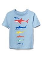 Gap Women Graphic Short Sleeve Tee - Blue Focus