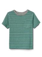 Gap Stripe Short Sleeve Pocket Tee - Parrot Green 385