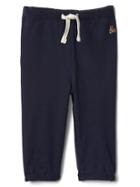 Gap Women Knit Pants - Navy