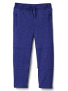 Gap Zip Jersey Pants - Deep Cobalt
