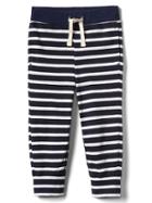 Gap Stripe Knit Pants - Elysian Blue