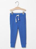 Gap Solid Joggers - Radiant Blue