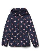 Gap Print Jersey Lined Windbreaker - Rainbow