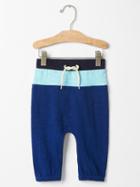 Gap Colorblock Pants - Royal Blue