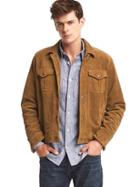 Gap Men Suede Shirt Jacket - Camel