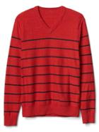 Gap Men Stripe V Neck Sweater - Navy/red