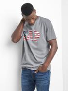 Gap Men Americana Logo Tee - Pilot Grey