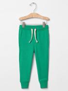 Gap Solid Joggers - Parrot Green 385