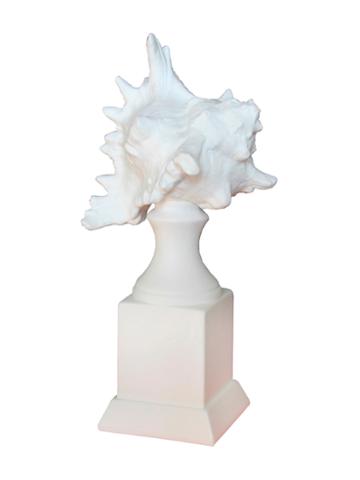 Privilege Shell Ceramic Display On Stand