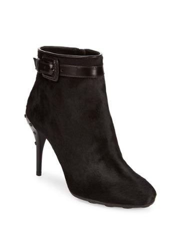 Tod Inchess Suede Buckle Booties