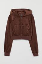 H & M - Velour Crop Hoodie - Brown