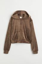 H & M - Velour Hooded Jacket - Beige