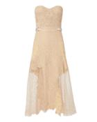 Jonathan Simkhai Grommet Bustier Lace Midi Dress Nude 4