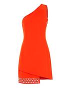 Barbara Bui Cady One Shoulder Grommet Dress
