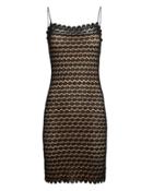 Nightcap Clothing Beaux Lace Mini Dress Black/beige P