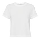T By Alexander Wang Cropped White Tee White P