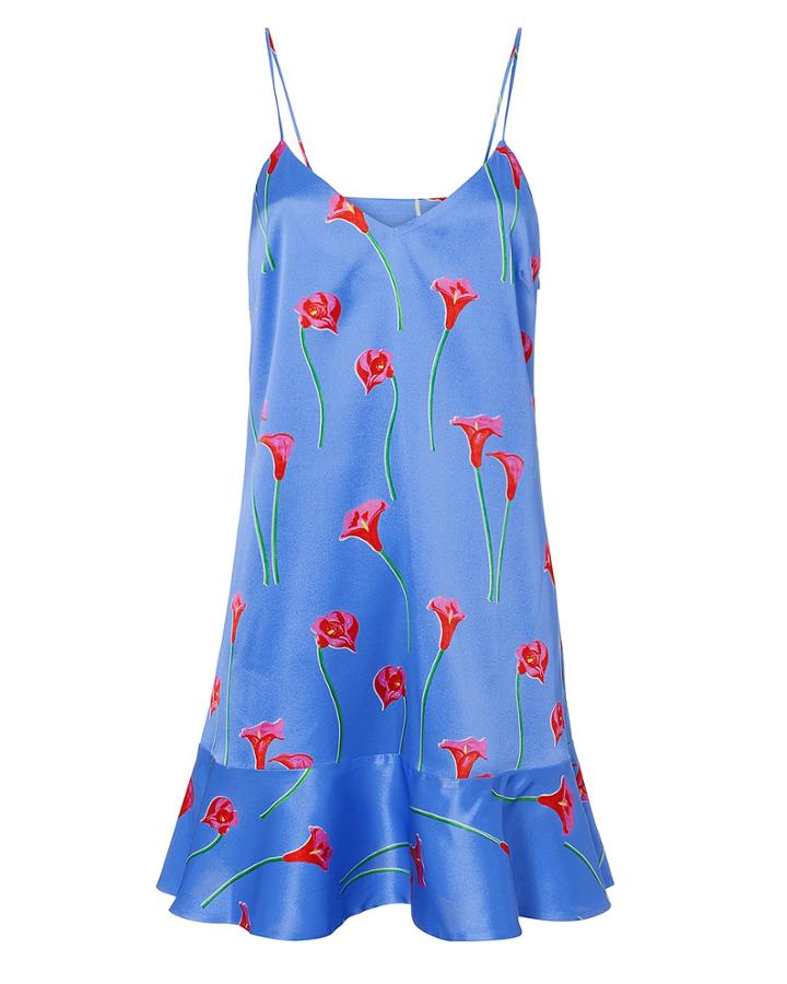 Caroline Constas Tina Floral Slip Dress Blue-med P