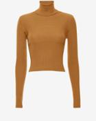 A.l.c. Milo Cropped Ribbed Turtleneck