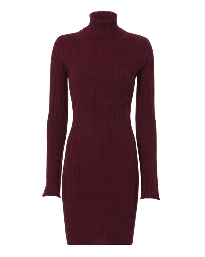 &quot;autumn Cashmere Ribbed Turtleneck Dress&quot;