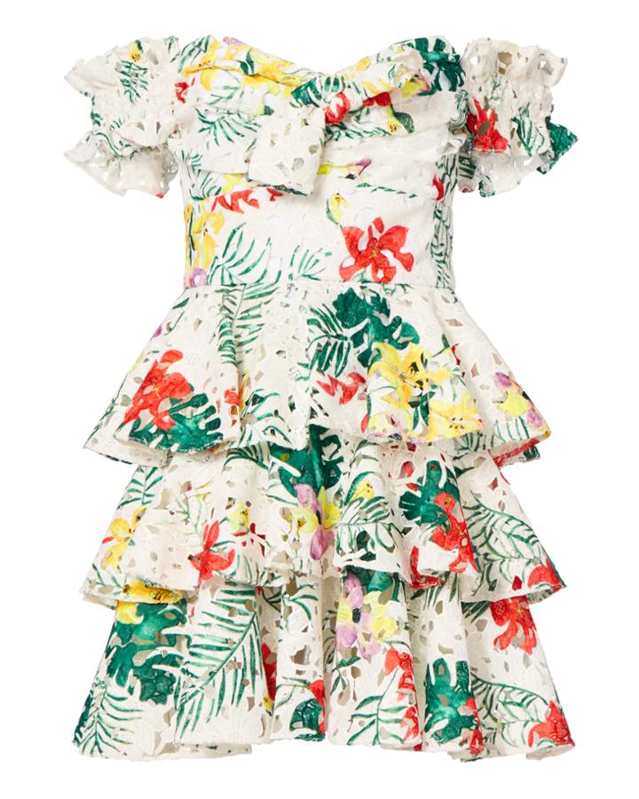 Caroline Constas Helena Printed Lace Tiered Dress