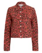 Miaou Leopard Print Lex Jacket Red/black L