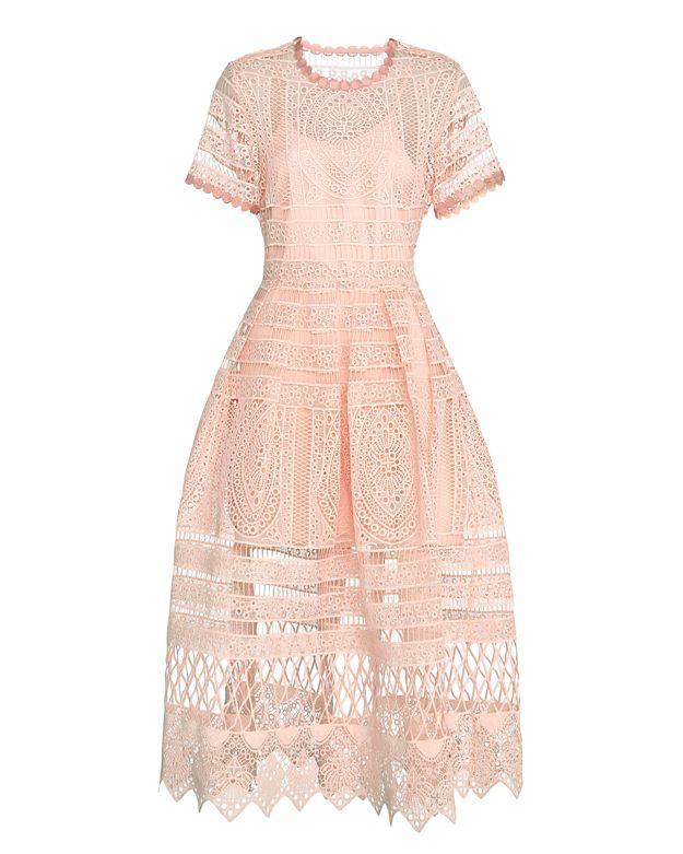 Alexis Exclusive Alanna Blossom Embroidered Lace Dress: Blush