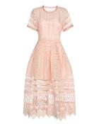 Alexis Exclusive Alanna Blossom Embroidered Lace Dress: Blush