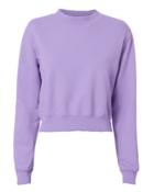 Cotton Citizen Milan Cropped Purple Sweatshirt Purple-lt P