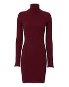 Autumn Cashmere Ribbed Turtleneck Dress