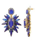 Elizabeth Cole Carmella Earrings Blue 1size