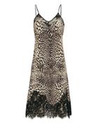 Mcq By Alexander Mcqueen Leopard Slip Dress Leopard 36