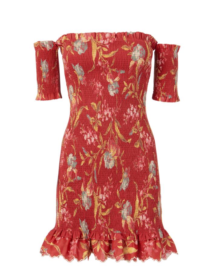Zimmermann-rtw Zimmermann Corsair Smocked Flutter Dress Print Zero
