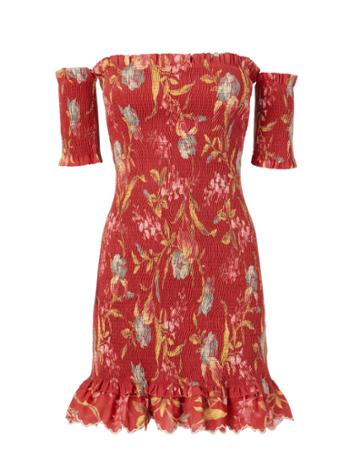 Zimmermann-rtw Zimmermann Corsair Smocked Flutter Dress Print Zero