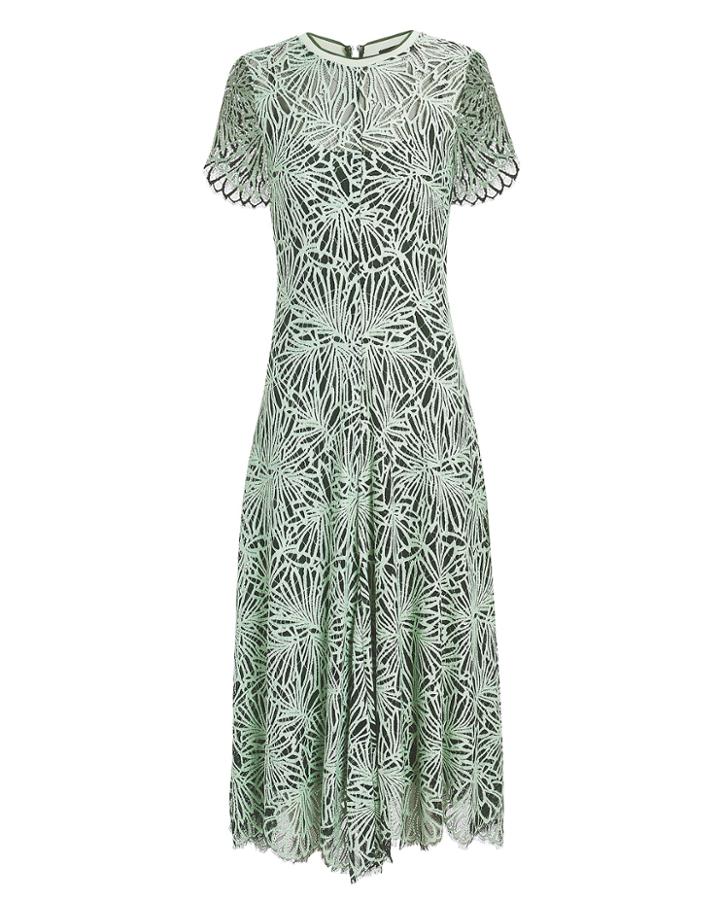 Proenza Schouler Green Lace Midi Dress Spearmint/evergreen 2