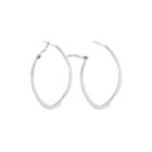 Stainless Steel 50x1.59mm Oval Hoop Earrings