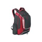 Demarin Momentum Backpack