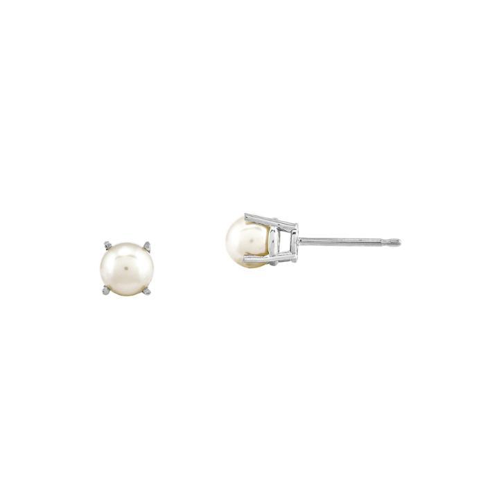 Cultured Freshwater Pearl 14k White Gold Stud Earrings