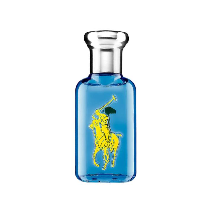 Ralph Lauren Big Pony Women's Collection #1