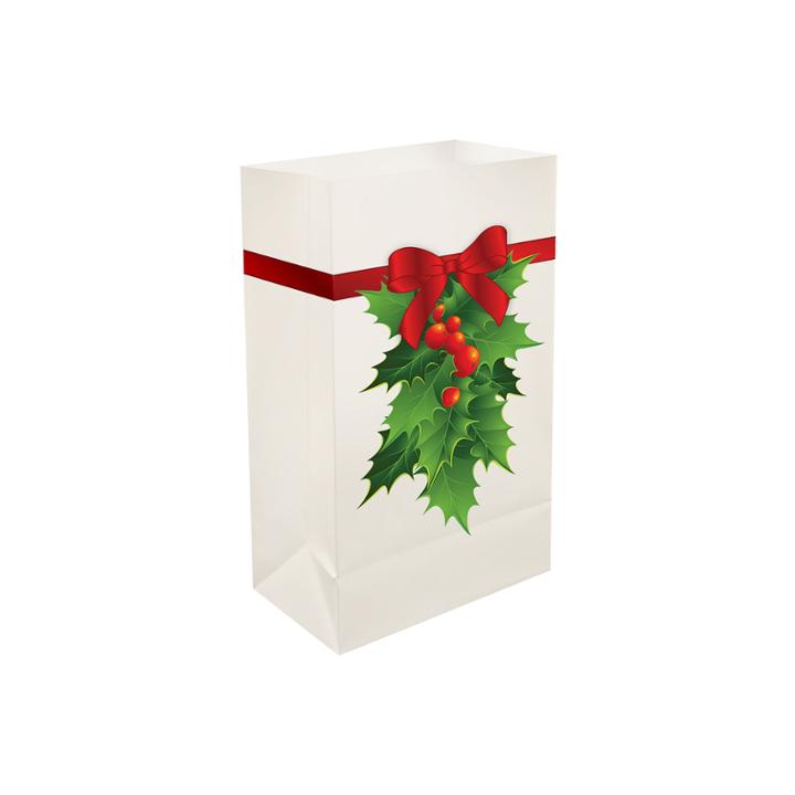 Plastic Luminaria Bags - Set Of 12