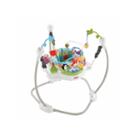 Fisher Price Discover And Grow Jumperoo