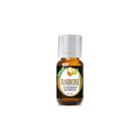 Healing Solutions Frankincense Carterii Essential Oil