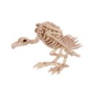 Skeleton Vulture