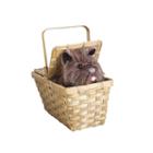 The Wizard Of Oz Toto In Basket Deluxe