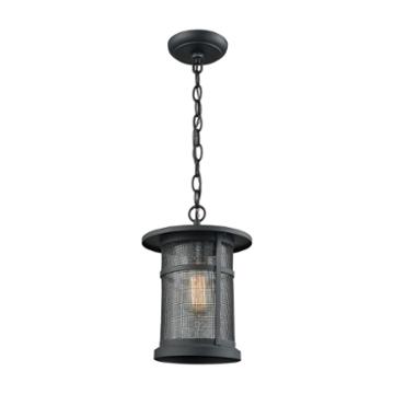 Aspen Lodge 1-light Outdoor Pendant In Textured Matte Black