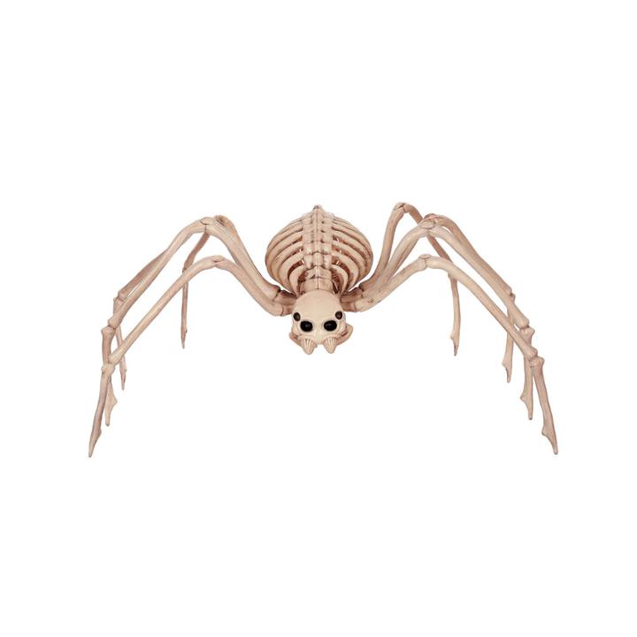 Skeleton Spider