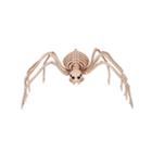 Skeleton Spider