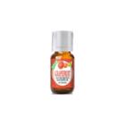 Healing Solutions Grapefruit Essential Oil